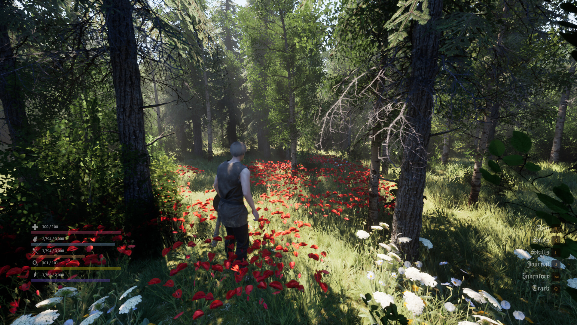 A medieval survival scene near wooden structures